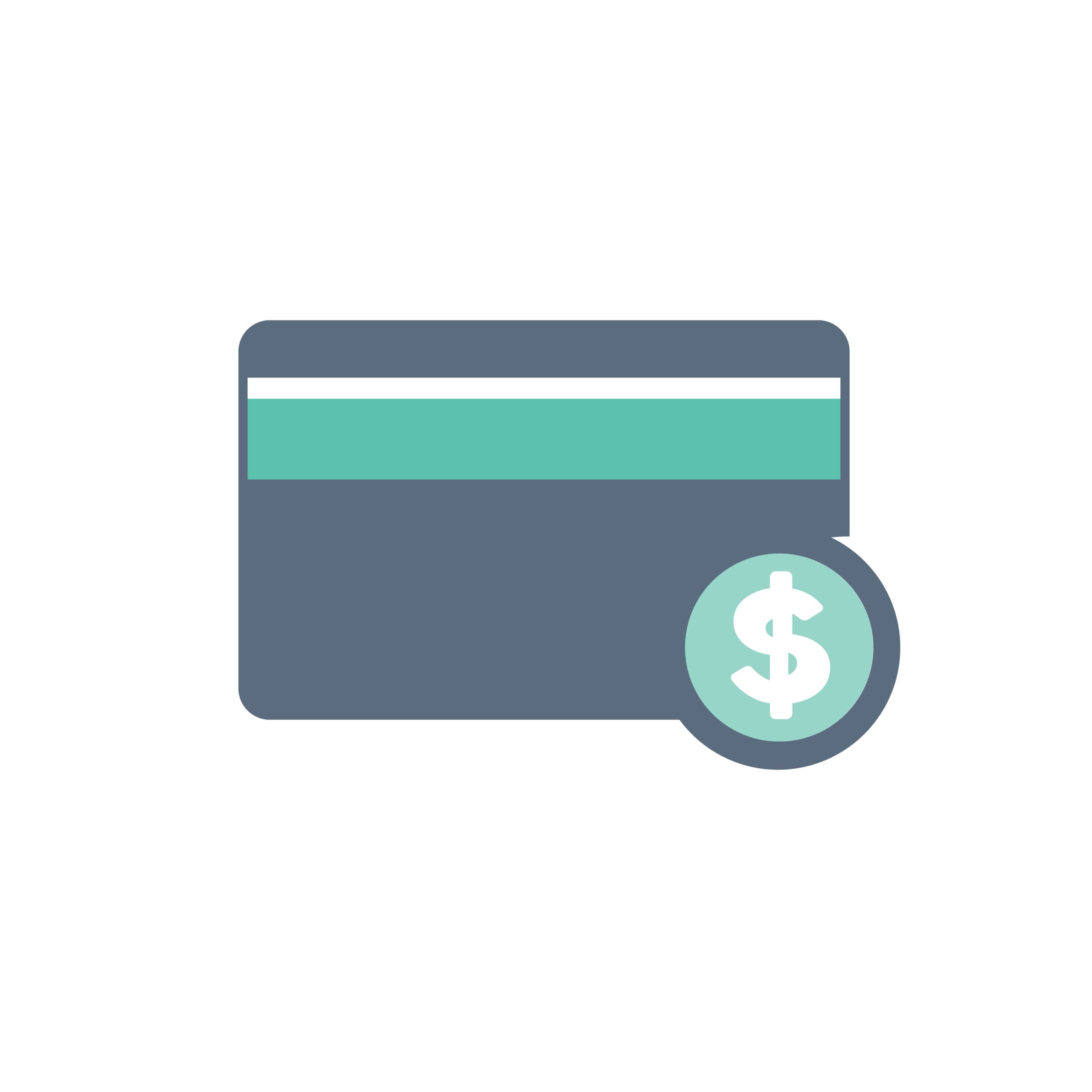 payment-icon